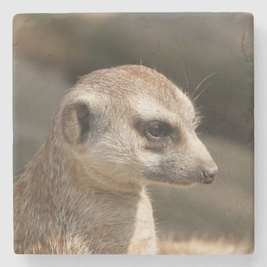 Meerkat 048 stenen onderzetter (Voorkant)