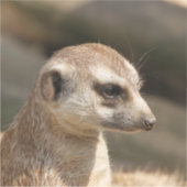 Meerkat 048 sticker (Voorkant)