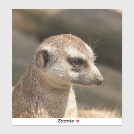 Meerkat 048 sticker (Vel)