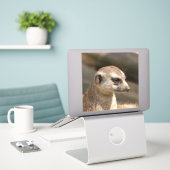 Meerkat 048 sticker (Laptop op bureau)