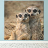 Meerkat 067 canvas afdruk (Insitu (Houten vloer))