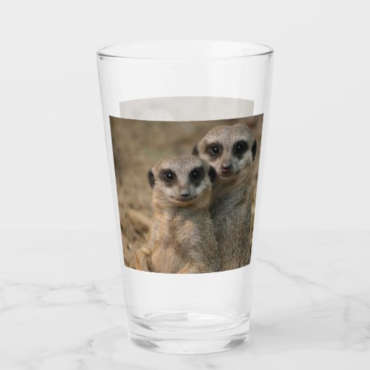 Meerkat 067 glas (Voorkant)