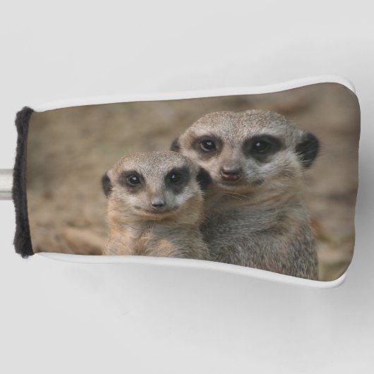 Meerkat 067 golfheadcover (Voorkant)