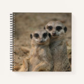 Meerkat 067 notitieboek (Voorkant)