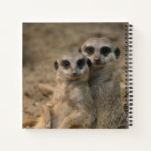Meerkat 067 notitieboek (Achterkant)
