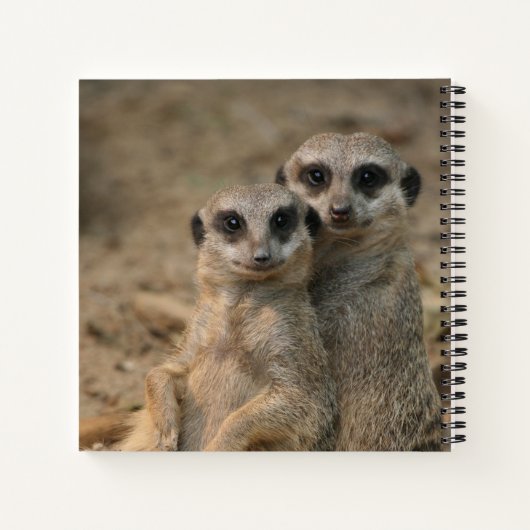 Meerkat 067 notitieboek (Achterkant)
