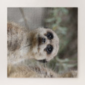 Meerkat 082 legpuzzel (Horizontaal)