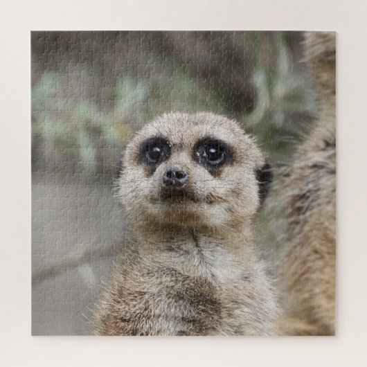 Meerkat 082 legpuzzel (Verticaal)