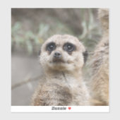 Meerkat 082 sticker (Vel)
