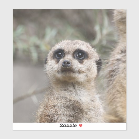 Meerkat 082 sticker (Vel)