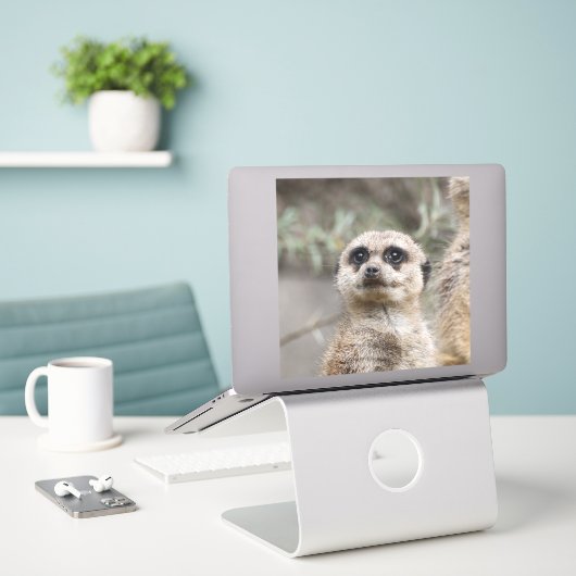 Meerkat 082 sticker (Laptop op bureau)