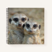 Meerkat 085 notitieboek (Voorkant)