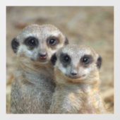 Meerkat 085 raamsticker (Vel)