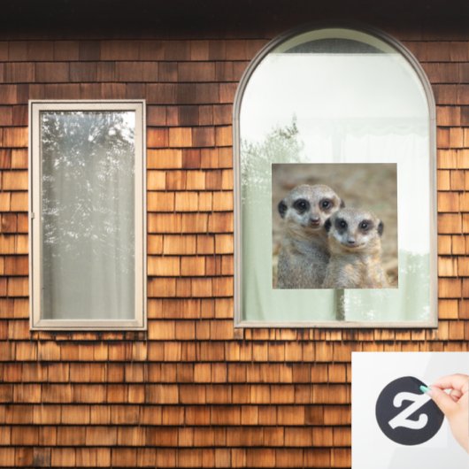 Meerkat 085 raamsticker (Huis Raam)