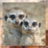 Meerkat 085 raamsticker (Vel 2)