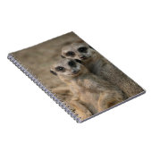 Meerkat 090 notitieboek (Rechterzijde)
