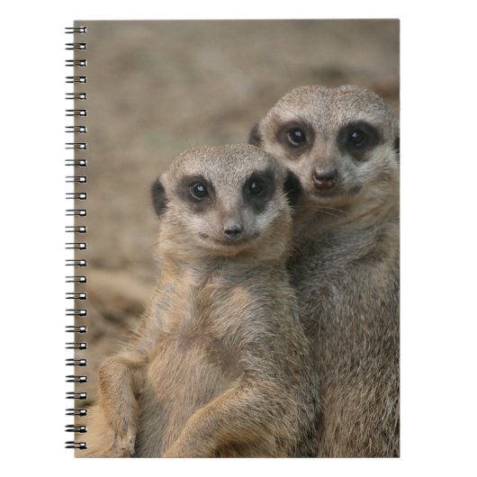 Meerkat 090 notitieboek (Voorkant)