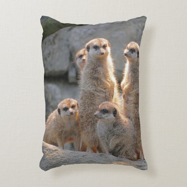 Meerkat 110 accent kussen (Voorkant(Verticaal))