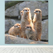 Meerkat 110 canvas afdruk (Insitu (Houten vloer))