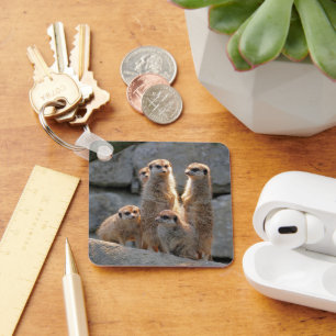 Meerkat 110 sleutelhanger