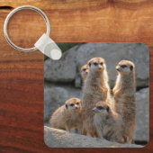 Meerkat 110 sleutelhanger (Voorkant)