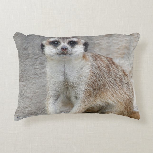 Meerkat 134 accent kussen (Voorkant)