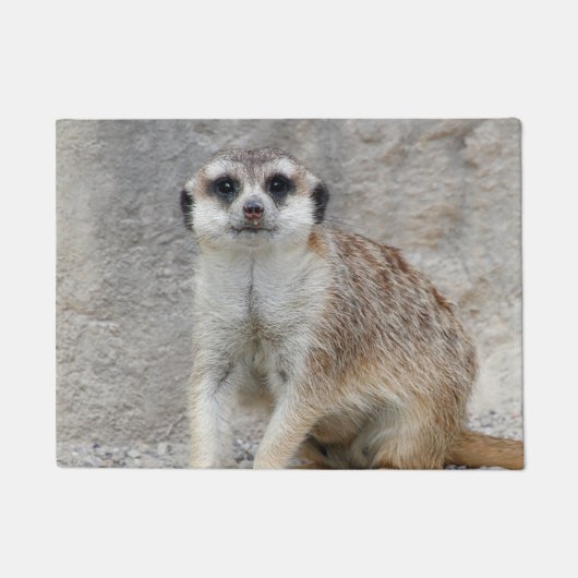 Meerkat 134 deurmat (Voorkant)