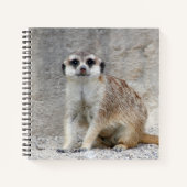 Meerkat 134 notitieboek (Voorkant)