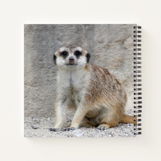 Meerkat 134 notitieboek (Achterkant)