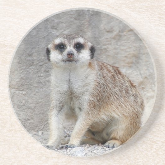 Meerkat 134 zandsteen onderzetter (Voorkant)
