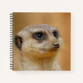 Meerkat 154 notitieboek (Voorkant)