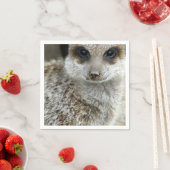 meerkat-16.jpg servetten (Insitu)