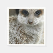 meerkat-16.jpg servetten (Voorkant)