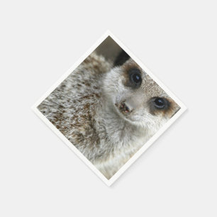 meerkat-16.jpg servetten