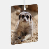 Meerkat 174 metalen ornament (Voorkant Rechts)