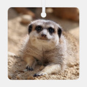 Meerkat 174 metalen ornament (Achterkant)