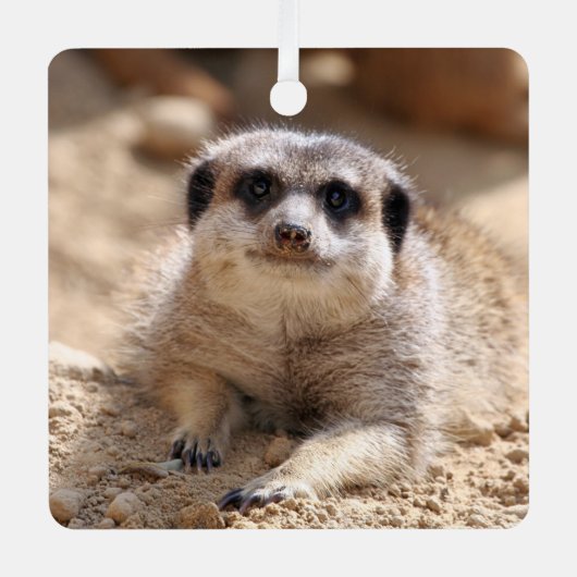 Meerkat 174 metalen ornament (Voorkant)