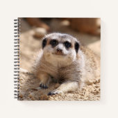 Meerkat 174 notitieboek (Voorkant)