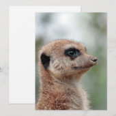 Meerkat 180 feestdagenkaart (Voorkant / Achterkant)