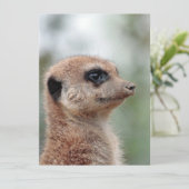 Meerkat 180 feestdagenkaart (Staand voorkant)
