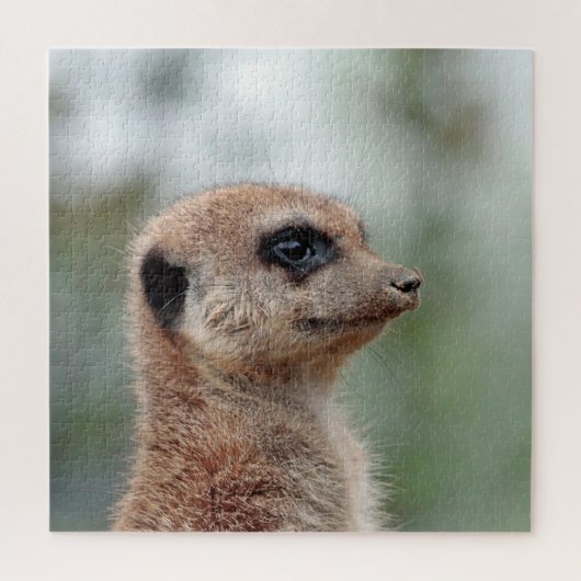 Meerkat 180 legpuzzel (Verticaal)