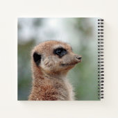Meerkat 180 notitieboek (Achterkant)