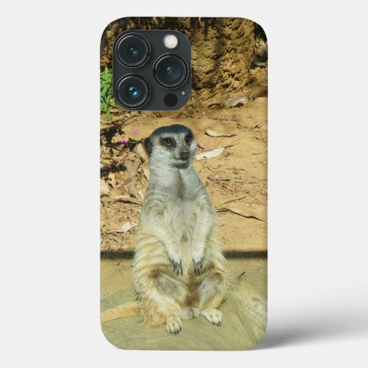 Meerkat #1 iPhone 13 Pro Hoesje (Achterkant)