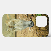 Meerkat #1 iPhone 13 Pro Hoesje (Achterkant (horizontaal))