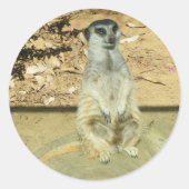 Meerkat #1 Sticker (Voorkant)