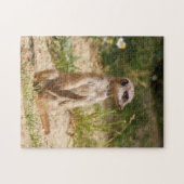 Meerkat 2014-0901 legpuzzel (Horizontaal)