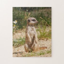 Meerkat 2014-0901 legpuzzel