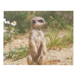 Meerkat 2014-0901 notitieblok