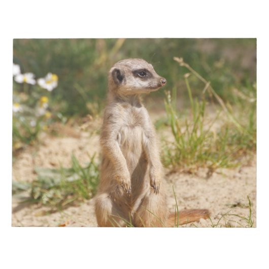 Meerkat 2014-0901 notitieblok (Voorkant)