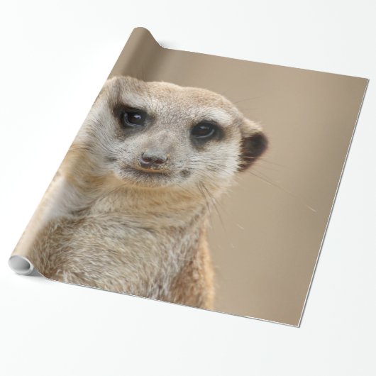 Meerkat_2015_0211 Cadeaupapier (Uitgerold)